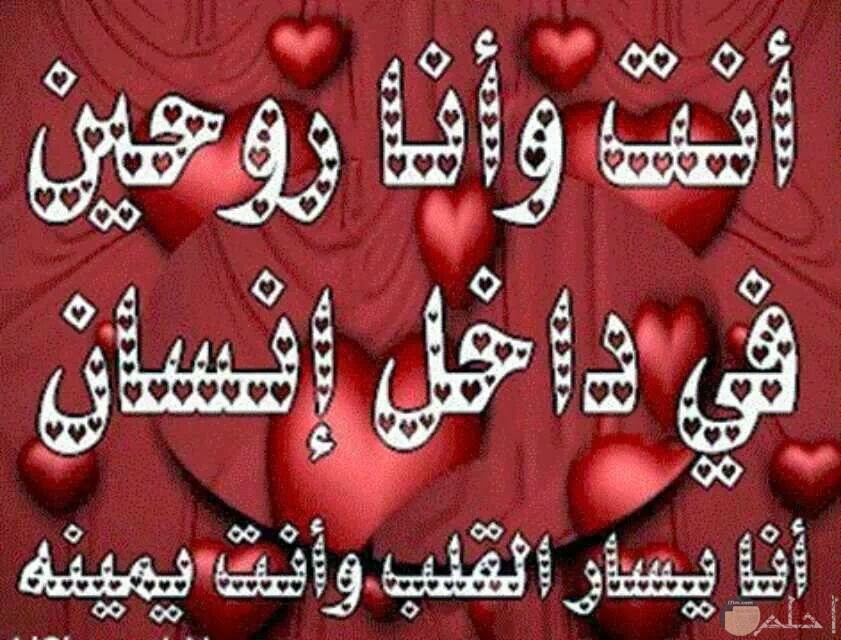 10 صور جميلة ومعبرة عن الحب والغرام والرومانسية