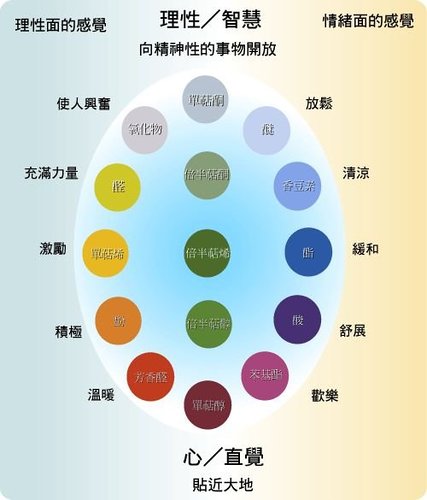 茹絲的蛋根本芳療 Czyk