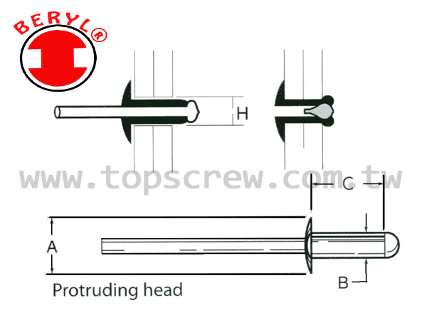 Sas Rivets ALL STEEL BLIND RIVET TS.SAS. SERIES | Top quality instrument inc.