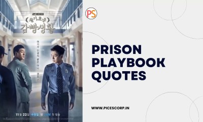 Prison Playbook