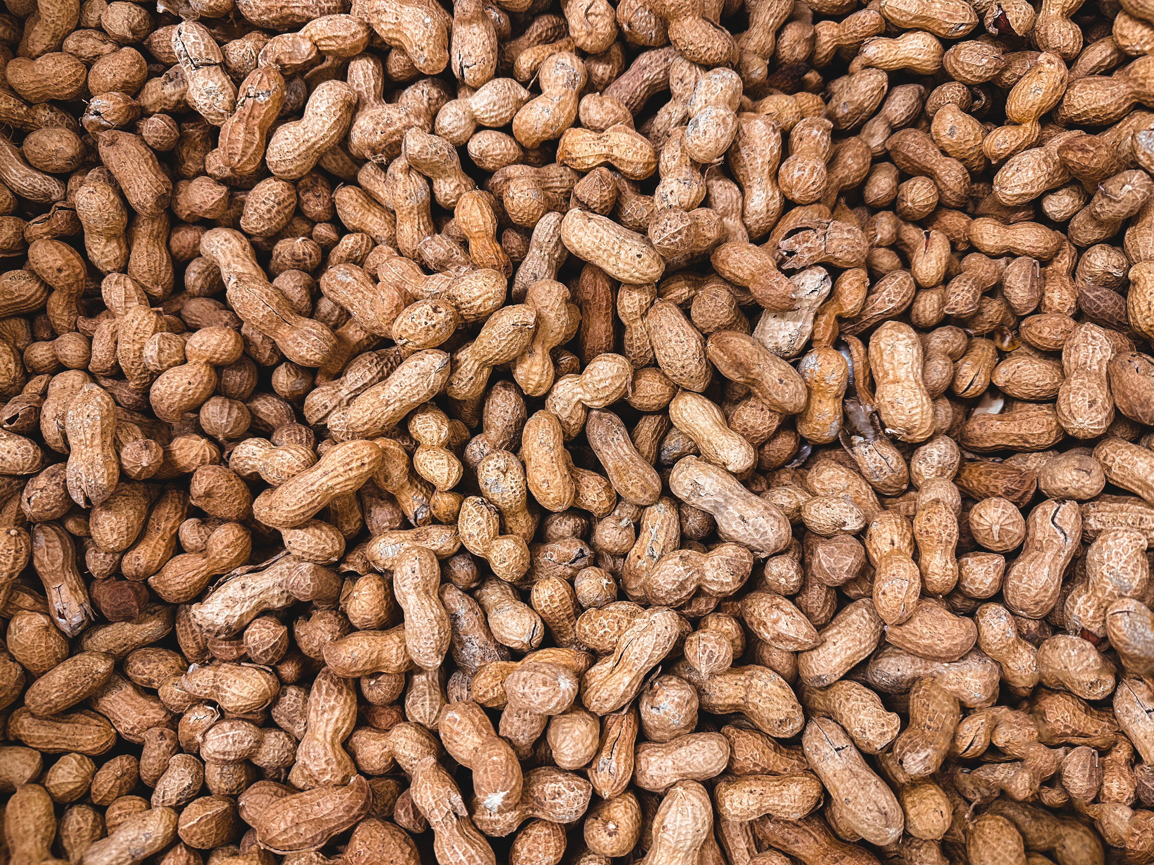peanuts-background-free-photo.jpg