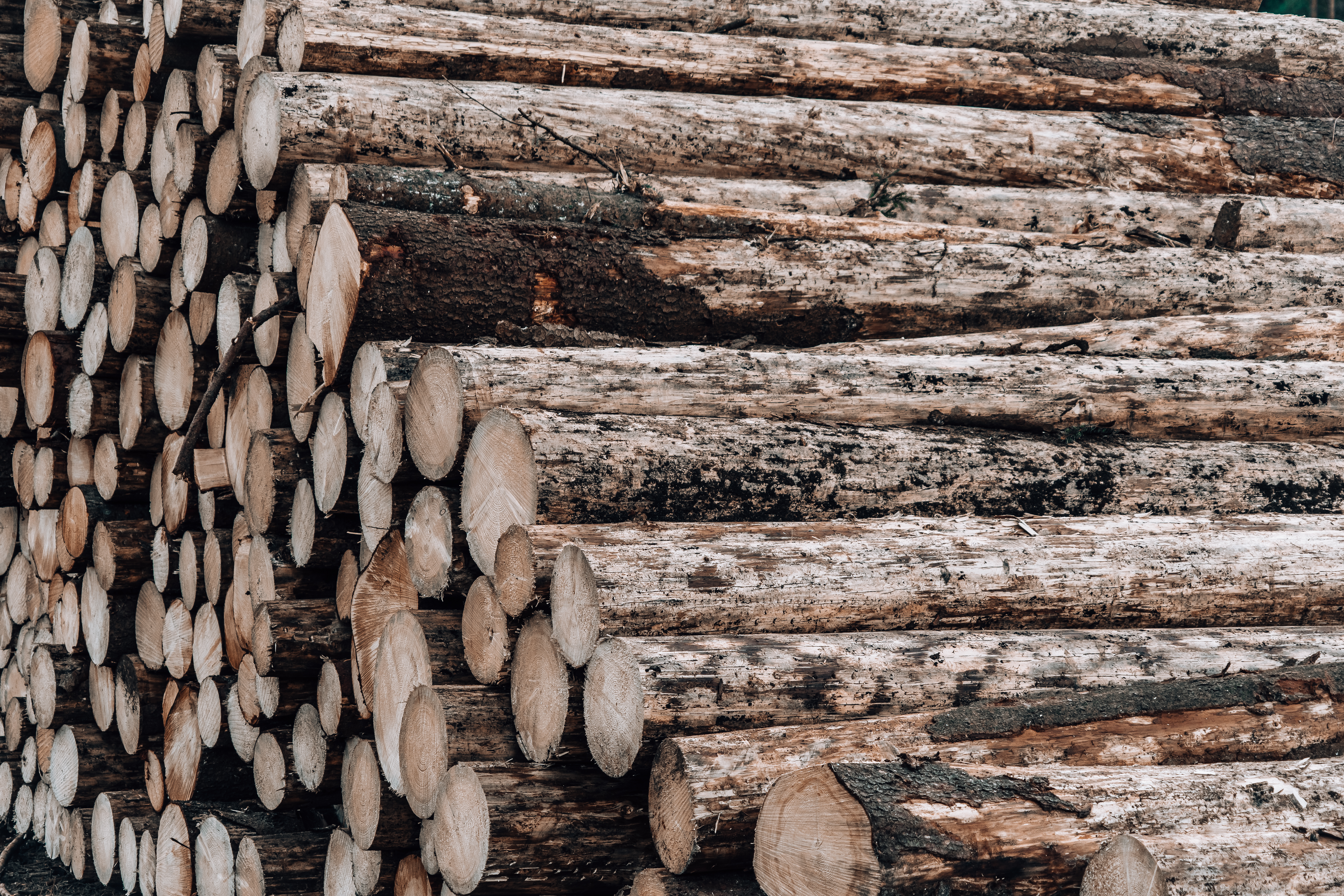 Wood Logs