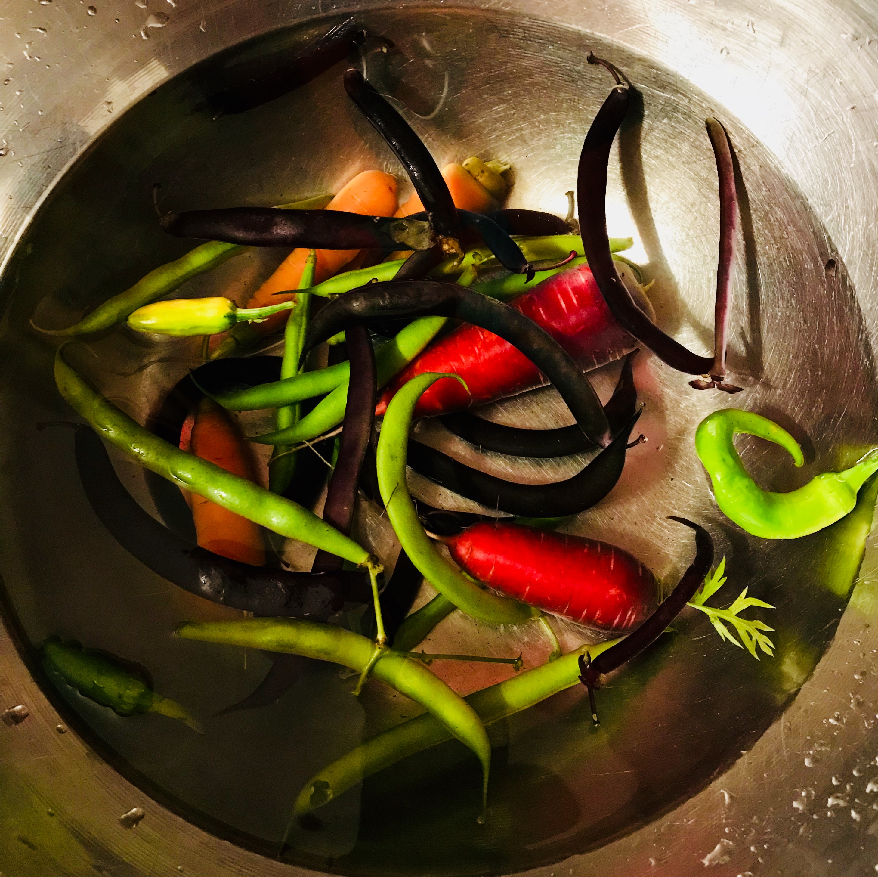 Beans, Peppers and Carrots