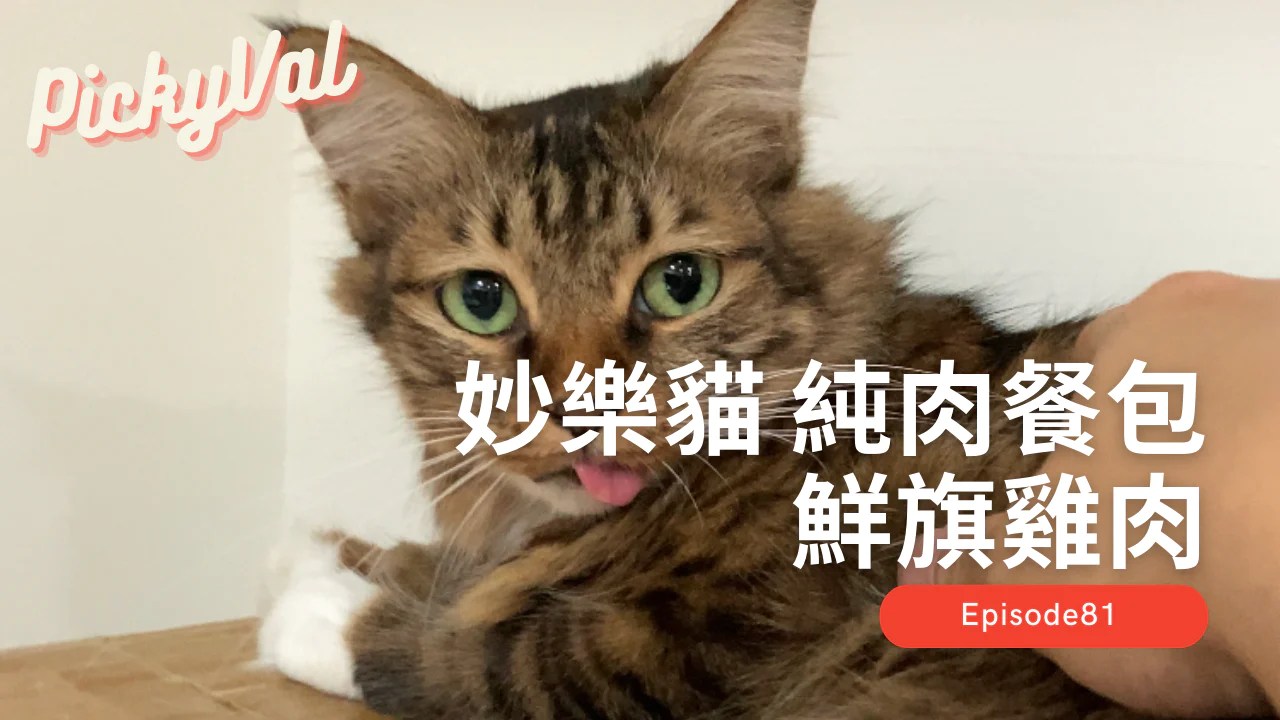 妙樂貓冷凍純肉餐包 鮮旗雞肉