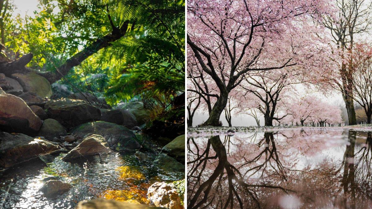 รางวัลที่ 1 รางวัลละ 6,000,000 บาท. à¸£à¸¹à¸à¸ªà¸§à¸¢à¹