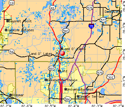Land O Lakes Florida FL 33559 34638 Profile Population Maps Cm1831 