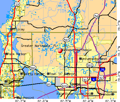 Greater Northdale Florida FL 33624 Profile Population Maps Real Cm1885 