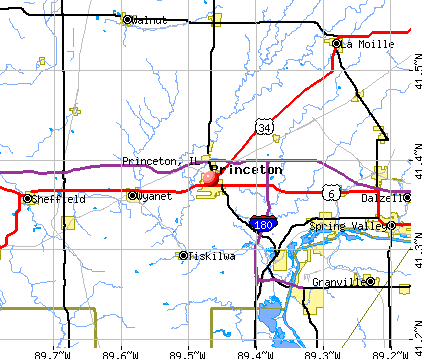 Princeton Illinois IL 61356 Profile Population Maps Real Estate Cm4515 