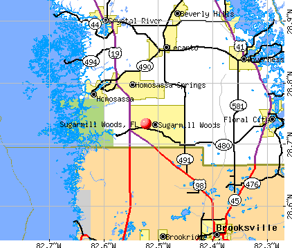Sugarmill Woods Florida FL 34446 Profile Population Maps Real Cm5099 