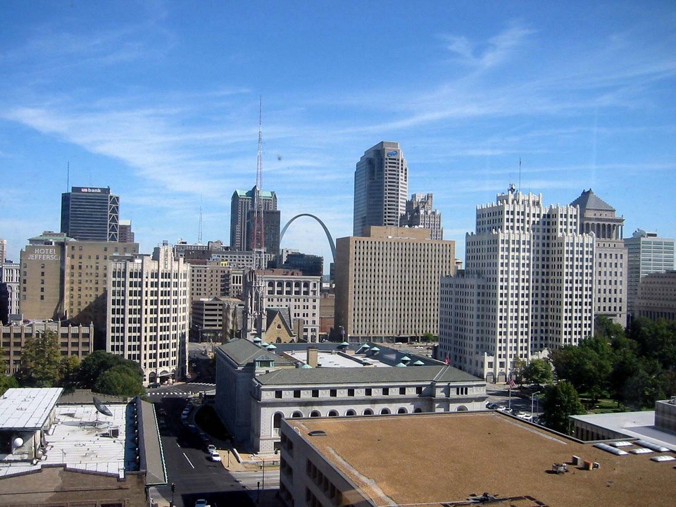 Depending on the type, you may also see it referred to as either a linear or switching regulator. St. Louis, MO : Downtown from the Terra Cotta Lofts photo