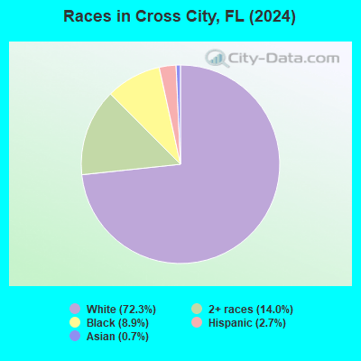 Cross City Florida FL 32628 Profile Population Maps Real Estate Races Cross City FL 