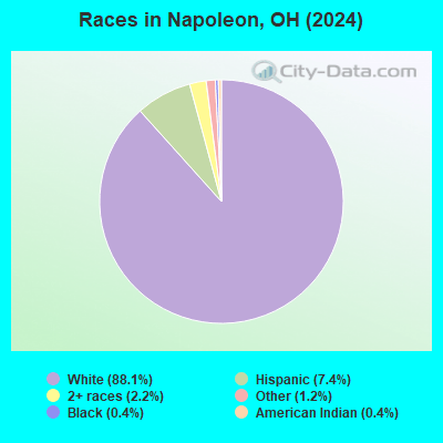 Napoleon Ohio OH 43545 Profile Population Maps Real Estate Races Napoleon OH 