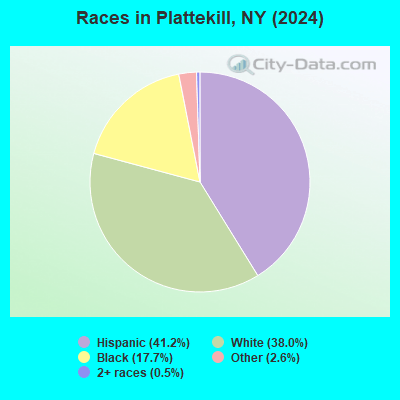 Plattekill New York NY 12589 Profile Population Maps Real Estate Races Plattekill NY 