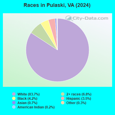 Pulaski Virginia VA 24301 Profile Population Maps Real Estate Races Pulaski VA 
