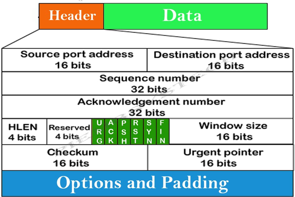 TCP-IP Protocol frame format