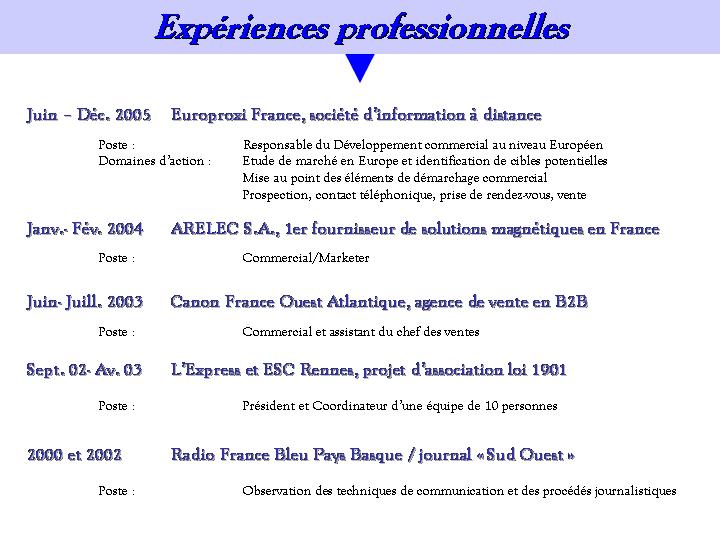 Dans la rubrique « expériences professionnelles » dans la mesure où ils . Site Pierre Gyejacquot Mes Experiences Professionnelles