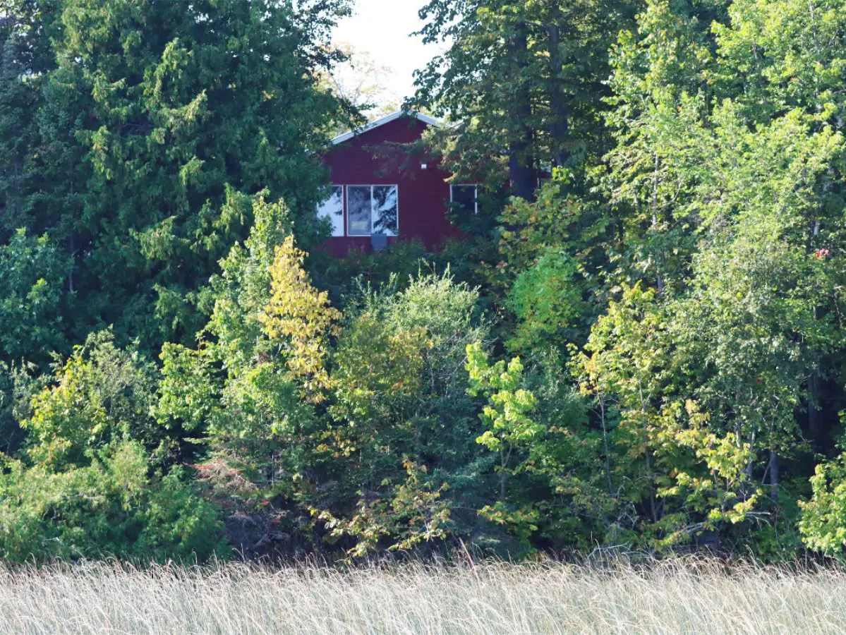 Cabin 7 view from the lake