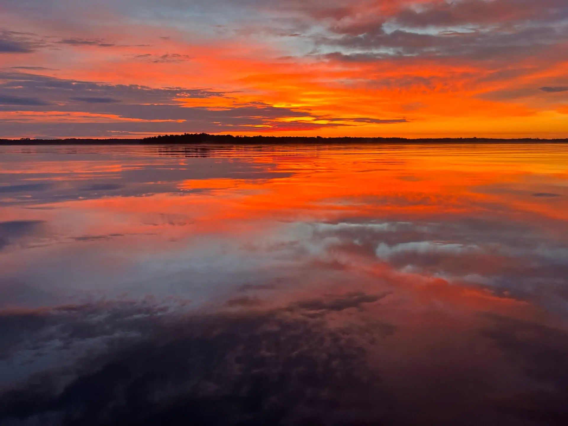 background-IMG_2411-opt