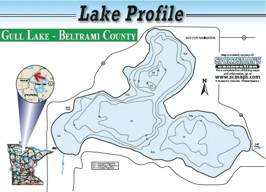 Gull Lake Profile