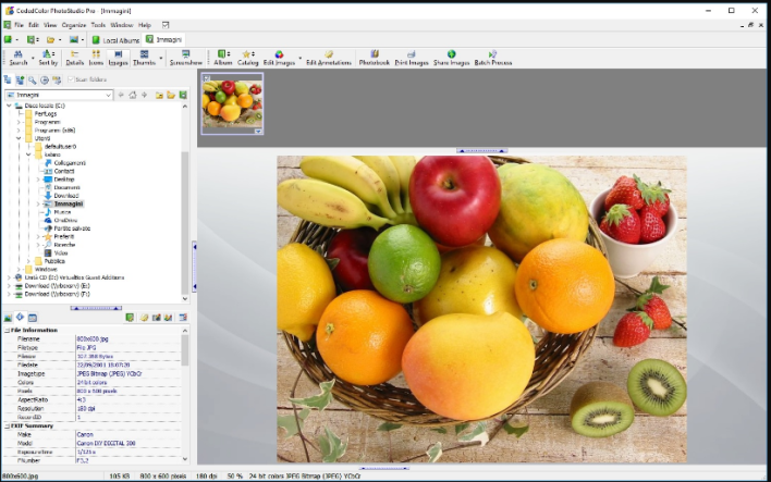 تحميل تيلجرام الاصدار الجديد CodedColor PhotoStudio Pro 8.1.1 تحميل تيلجرام الاصدار الجديد CodedColor PhotoStudio Pro 8.1.1