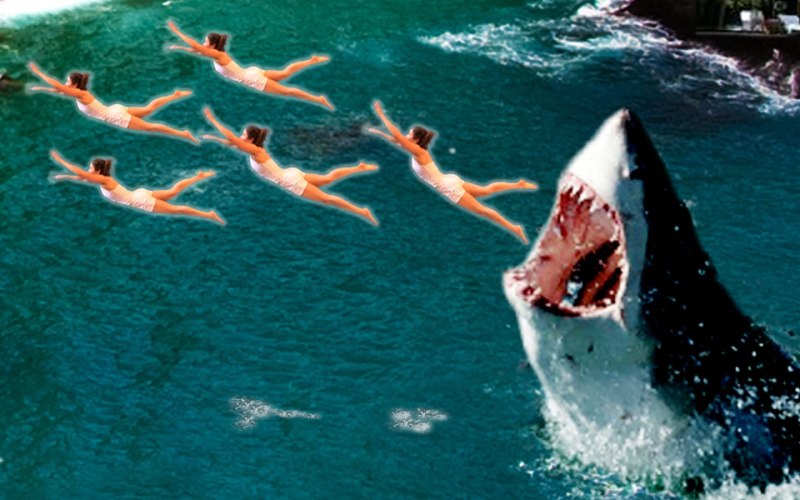 Shark Swim