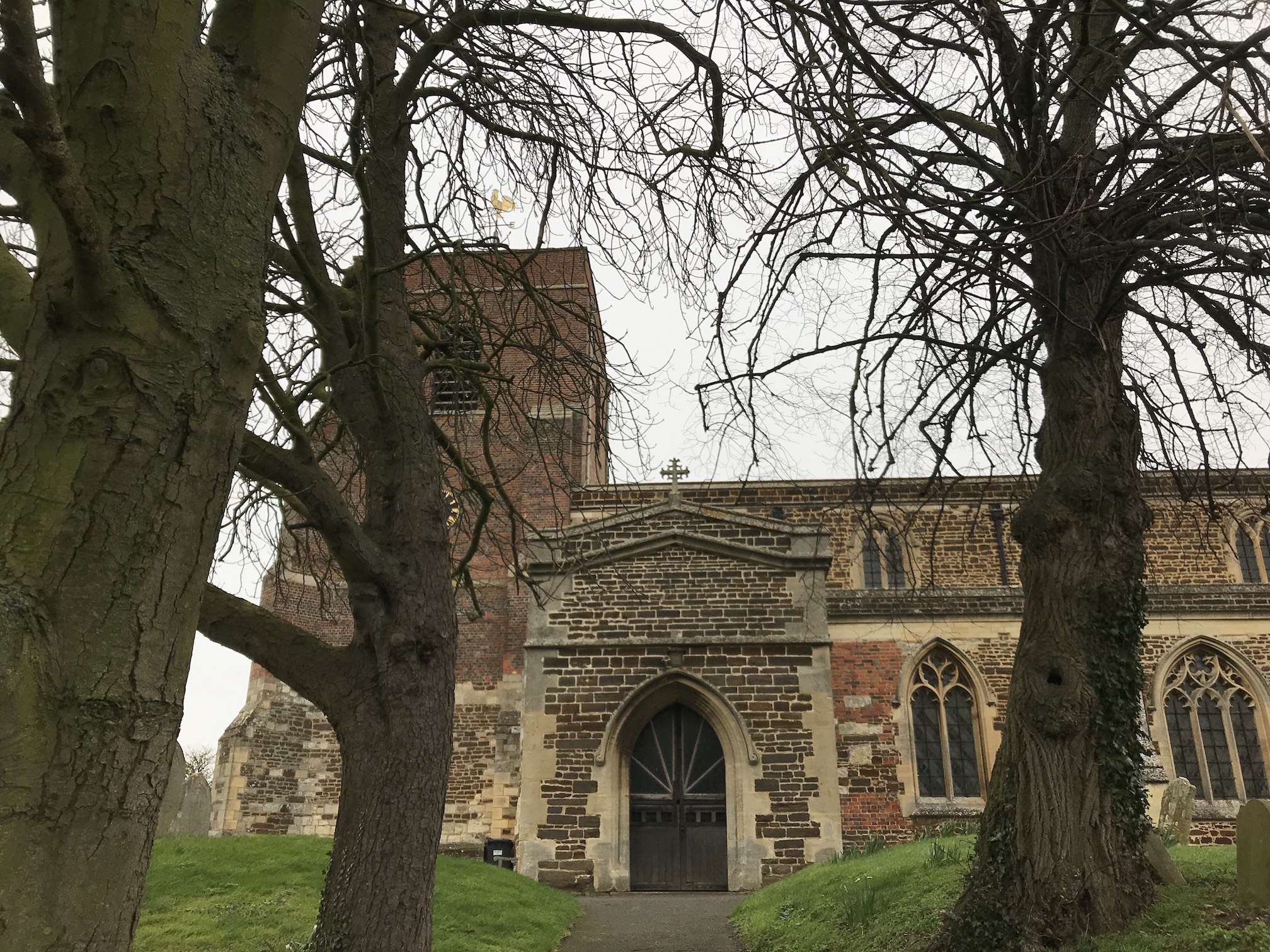 Walking over Dinosaurs: A forgotten tale of buried treasure