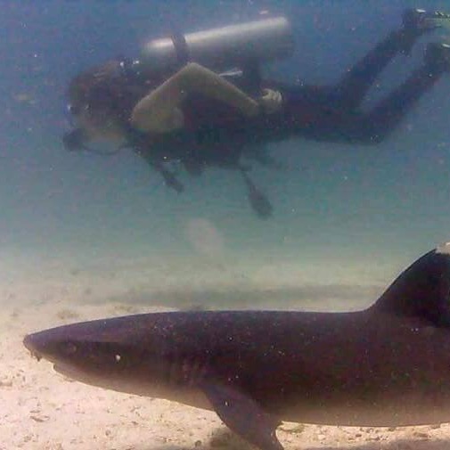 FullSizeRender (505x505)