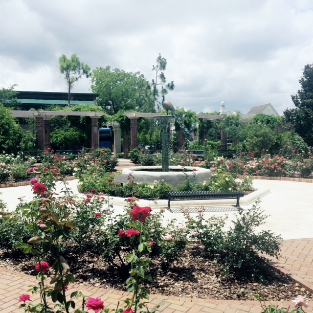 FullSizeRender (3) (640x640)