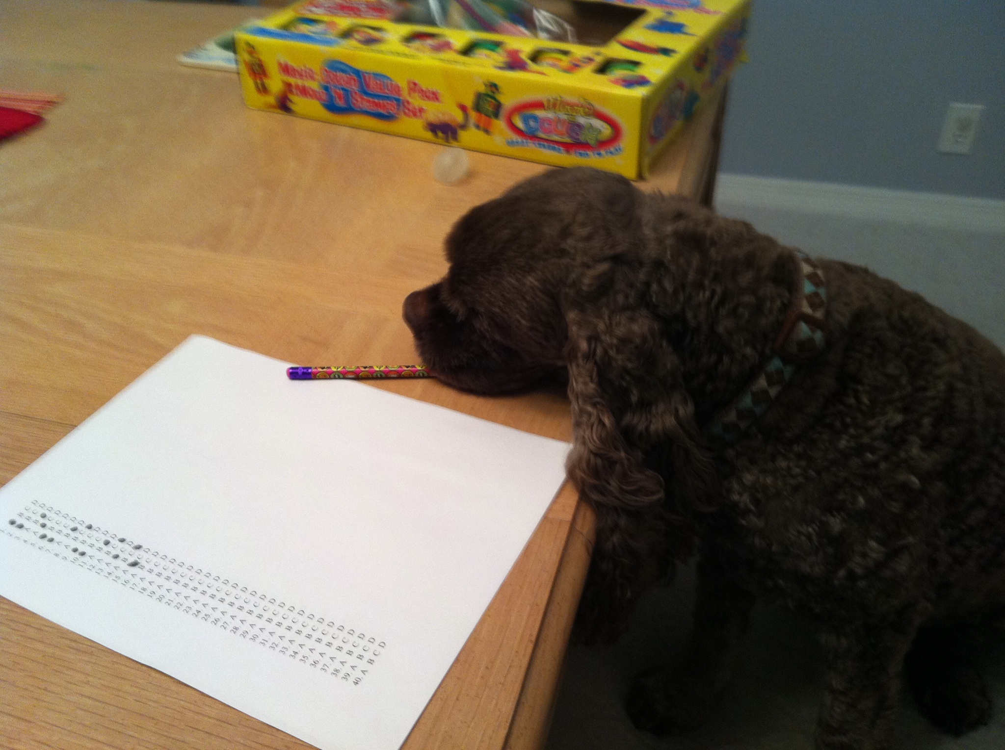 Patton helping Theresa study for the bar