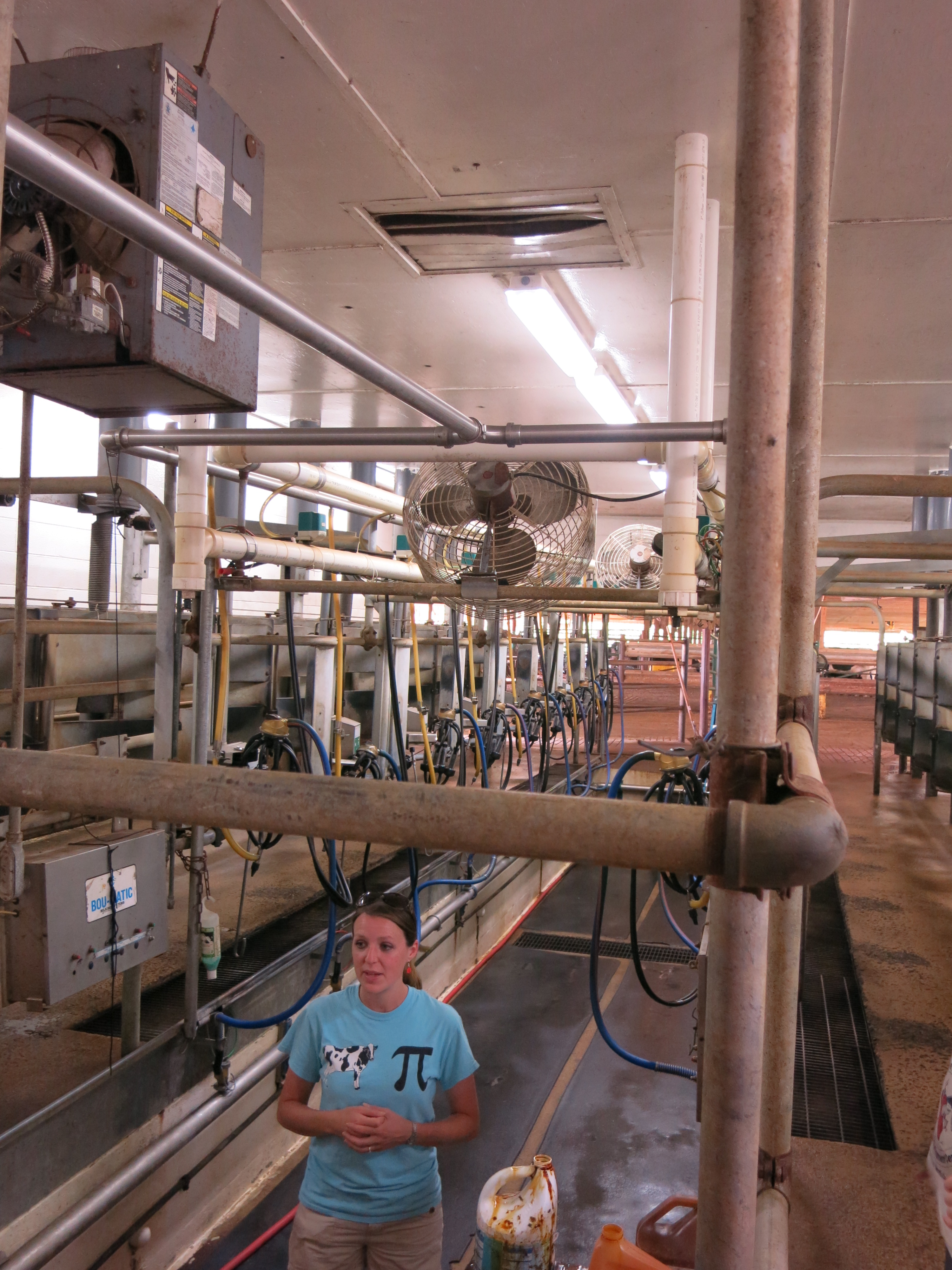 Milking parlor at Homeland Creamery