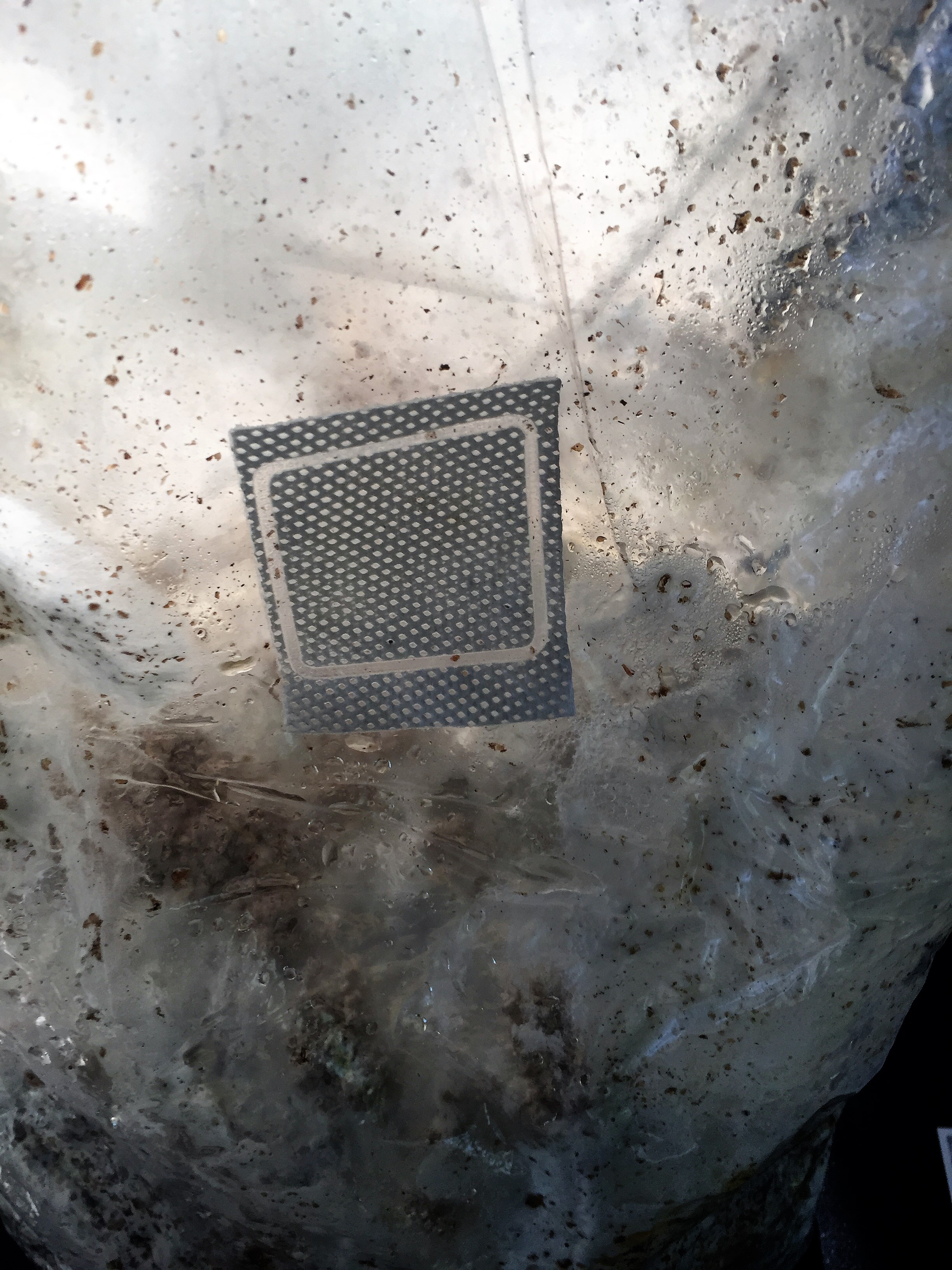 Vent on the bags for gas exchange