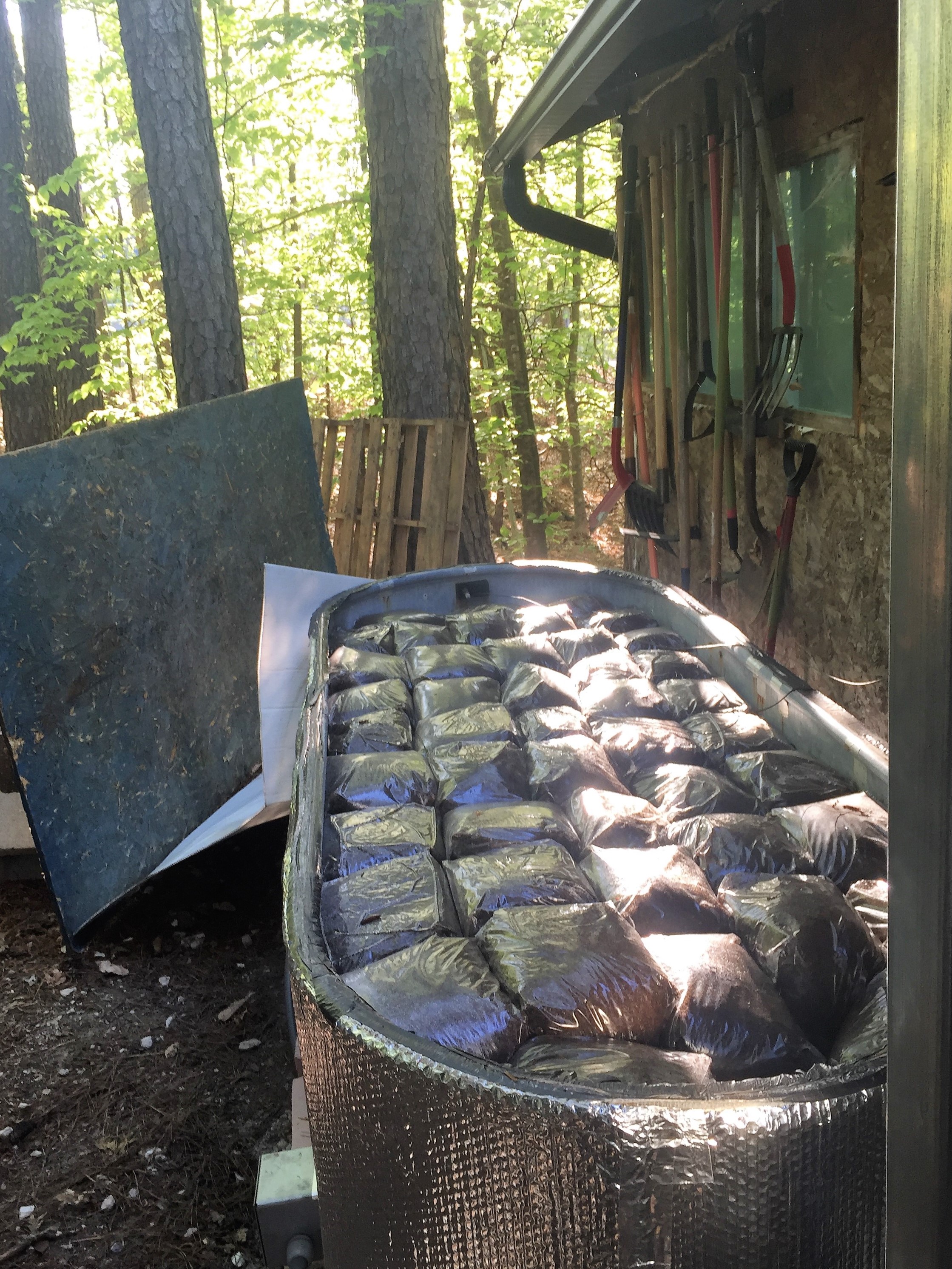 After bagging substrate, it's sterilized to remove micro-organisms that could outcompete or otherwise impede growth of the desired fungi