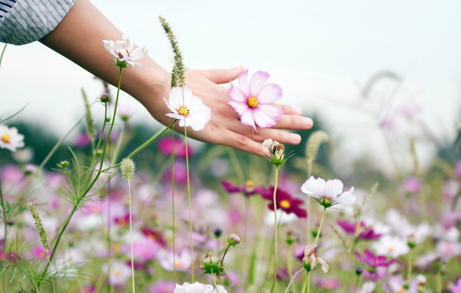 Why We Must Thank a Parting Winter + A Poem by E. E. Cummings, Spring