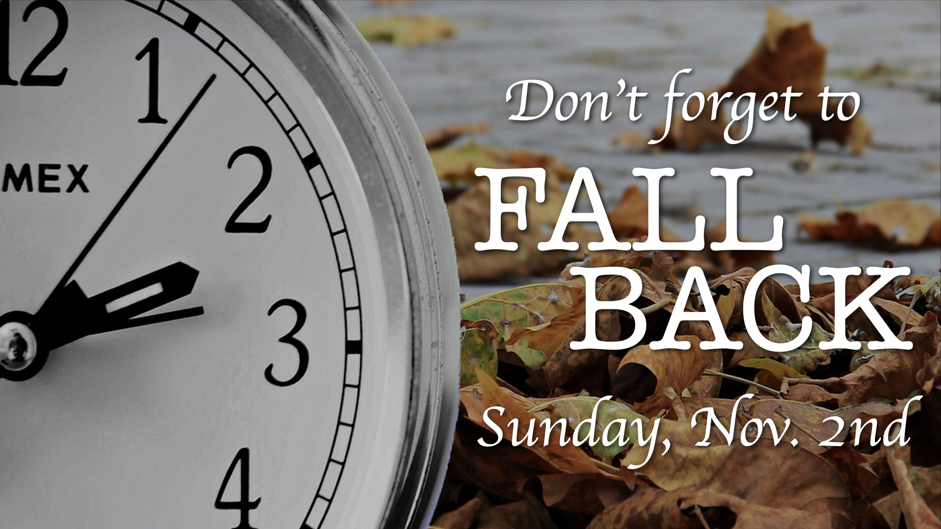 fall back.001