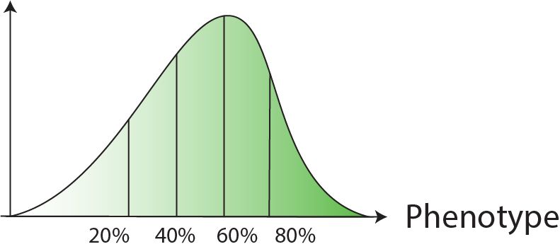 Variant Sorting Screen Tutorial Bean 1 0 0 Documentation - Download Creative Ocean Image | Retina