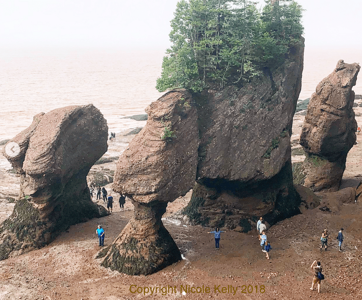 Hopewell Rocks, Low Tide