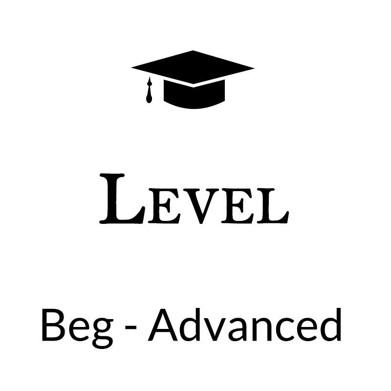 Level Icon4
