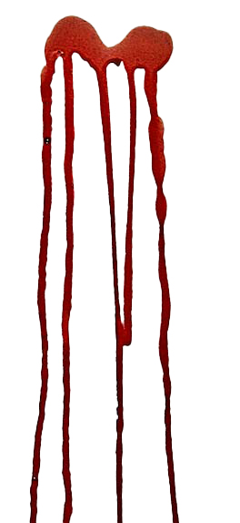 Flow bloodstain pattern on a vertical surface