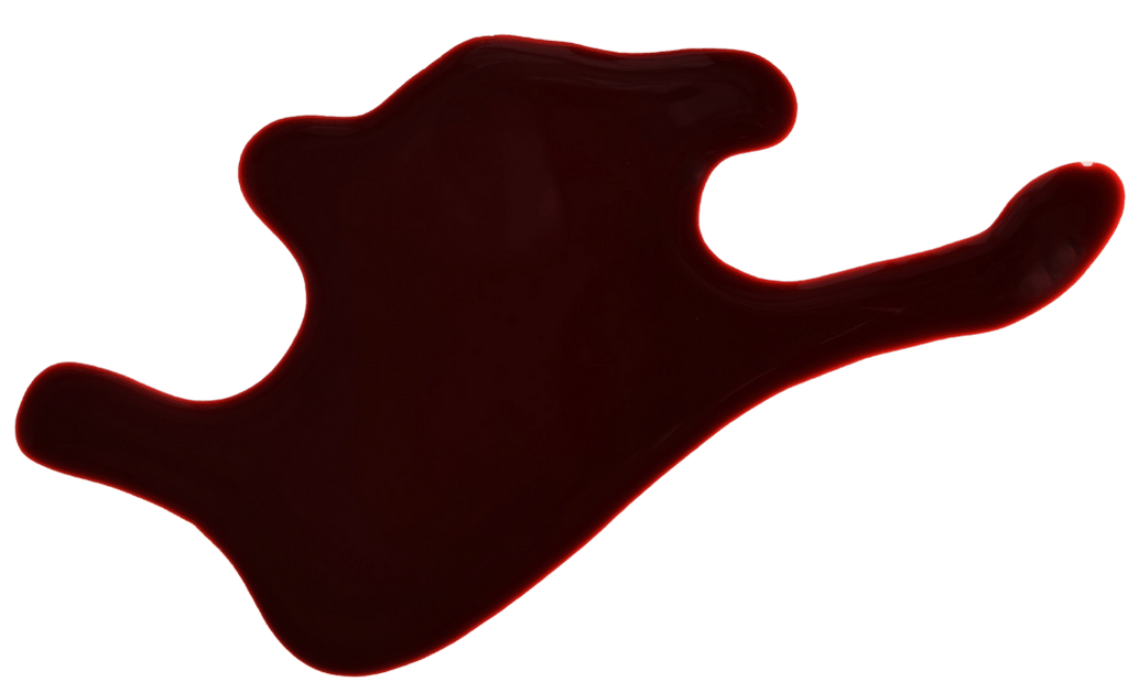 Pool of blood on a horizontal surface - Bloodstain Pattern Analysis Training