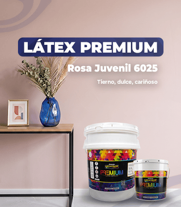 Látex Premium 5