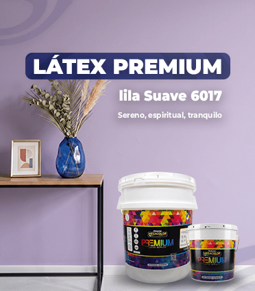Látex Premium 6