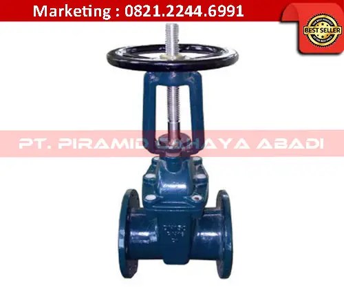 Gate Valve Rising Stem PT Piramid Cahaya Abadi
