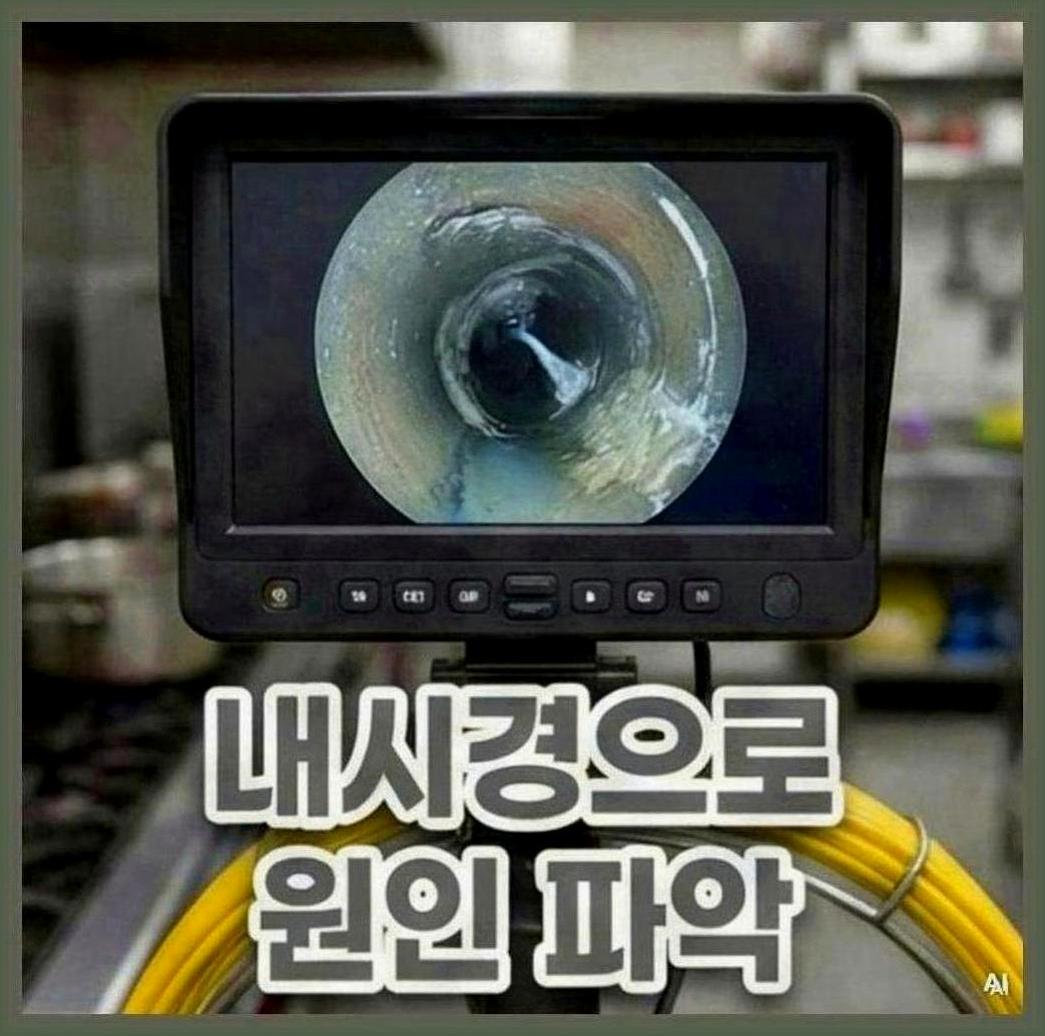 종로구종로1234가동세탁실악취제거