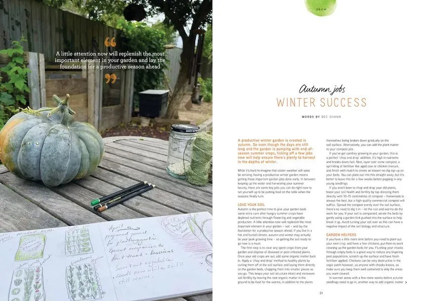 Un jardin d'hiver productif est créé en automne. Nous vous révélons les tâches que vous devez effectuer pour maintenir votre potager productif pendant les mois les plus froids.