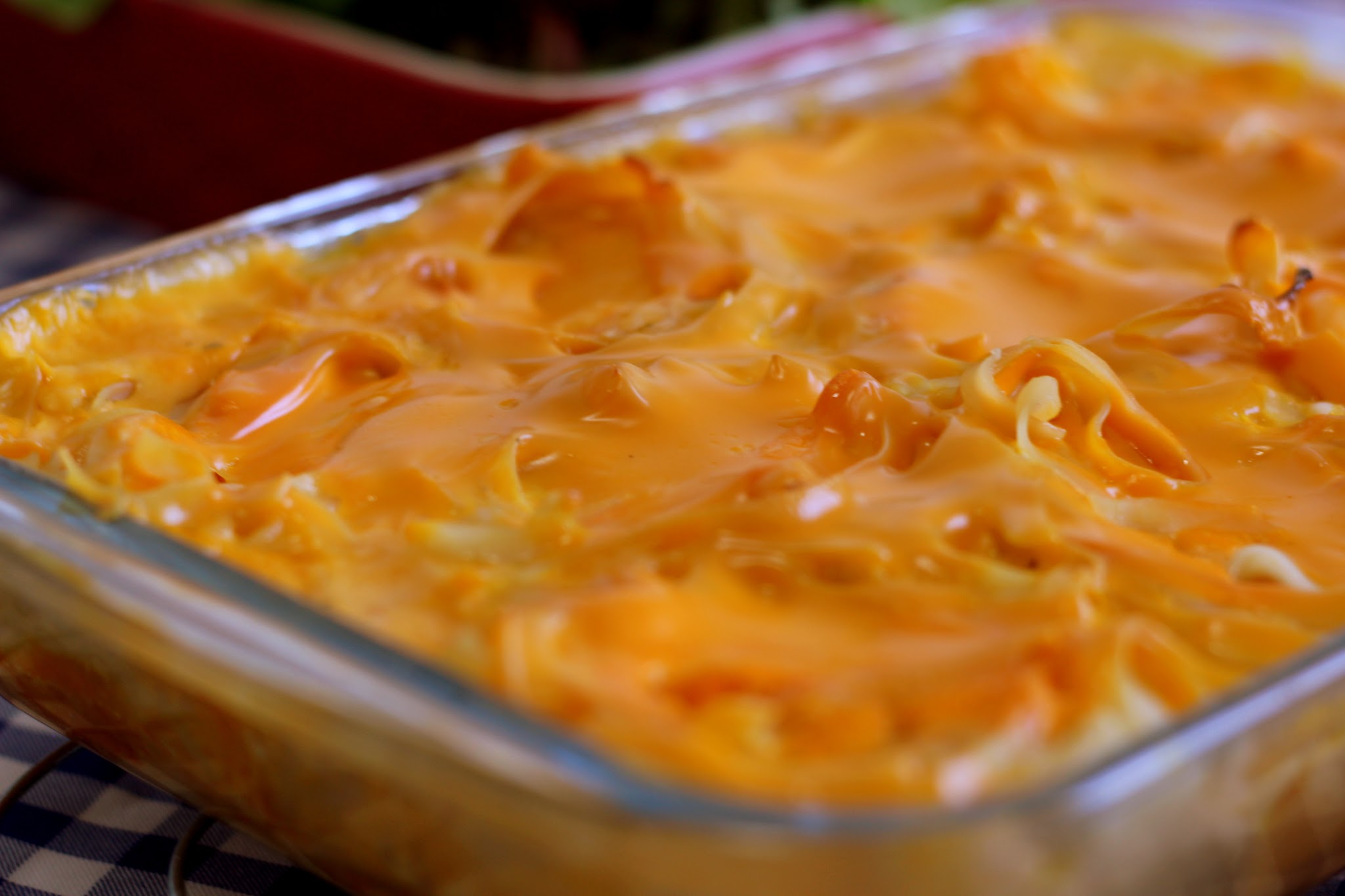 Macarrão ninho feito no forno, recheado e coberto por queijo cheddar cremoso e gratinado