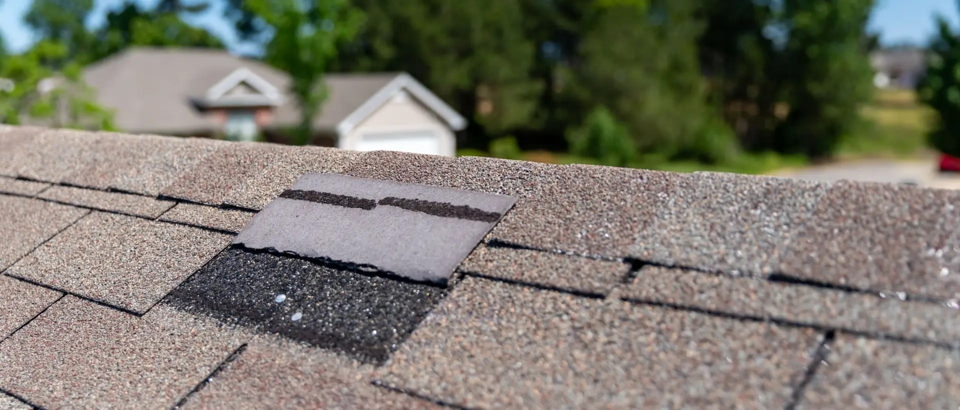 Shingle Repair Costs