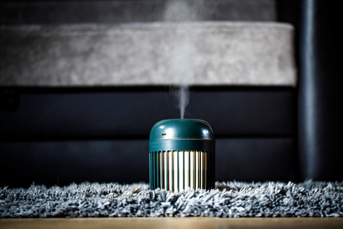 UMI VERDE 2