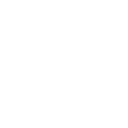 Execution & Implementing