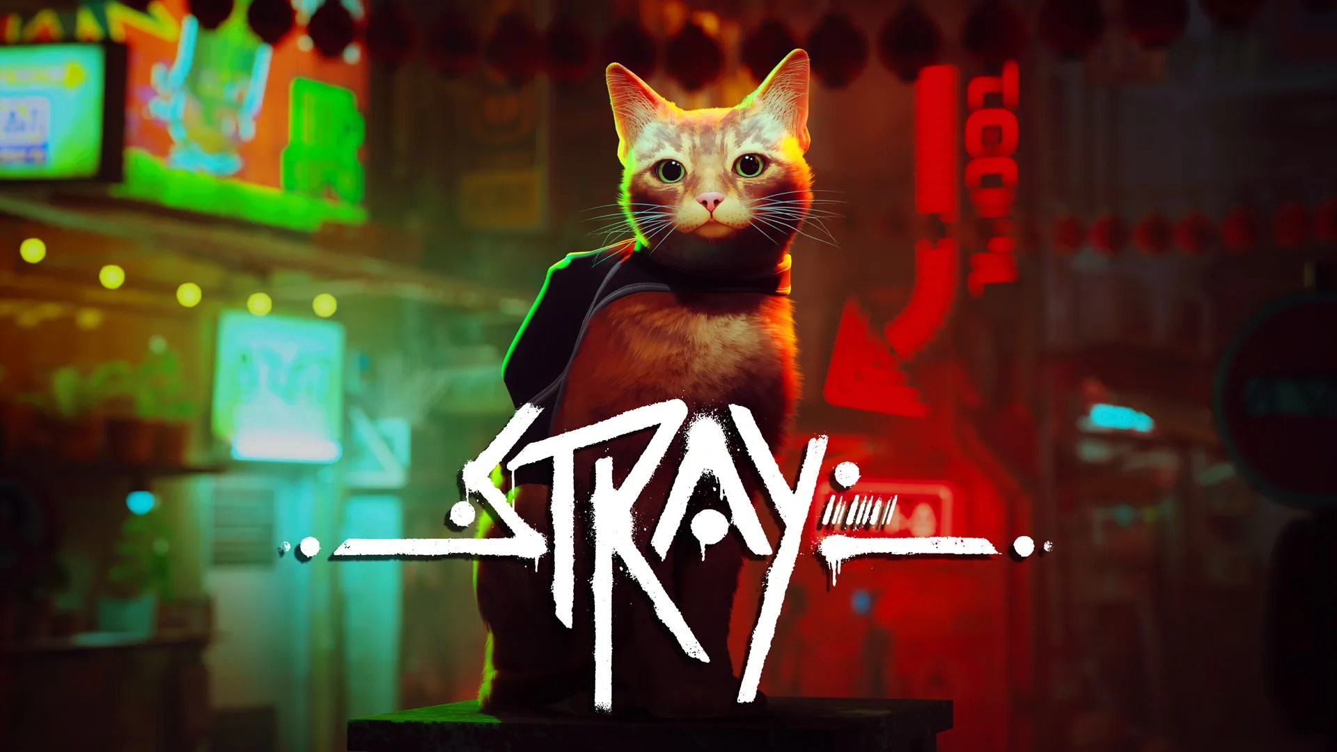 Test Stray, c’est au poil !