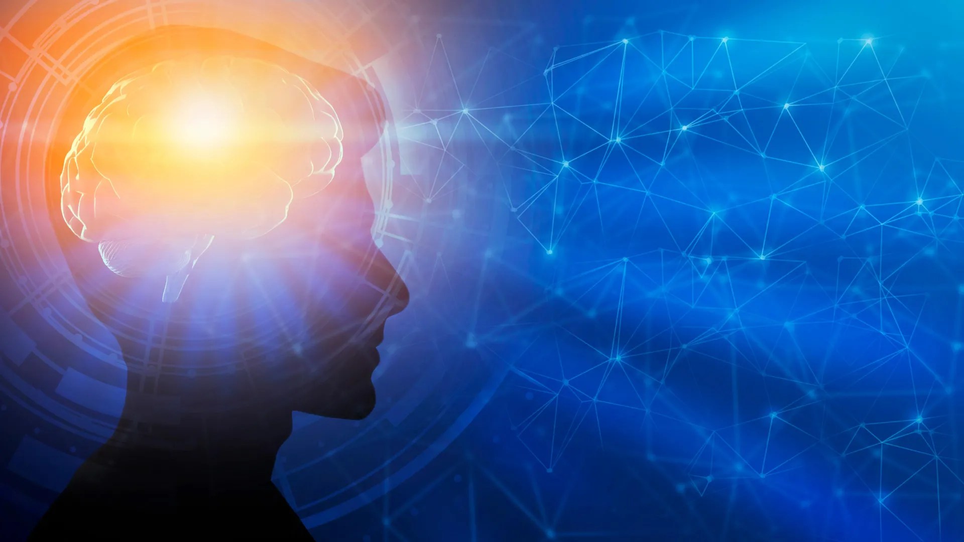 genius mindset brain development.webp